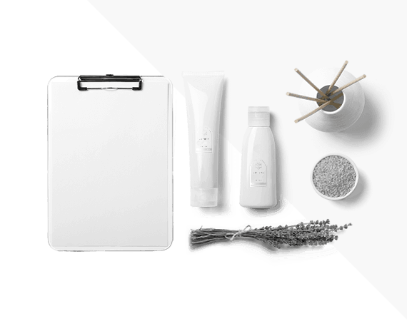 Nullam placerat efficitur